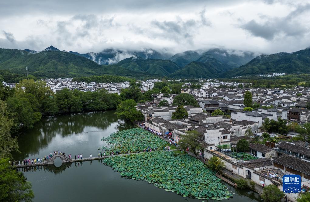 博牛注册码